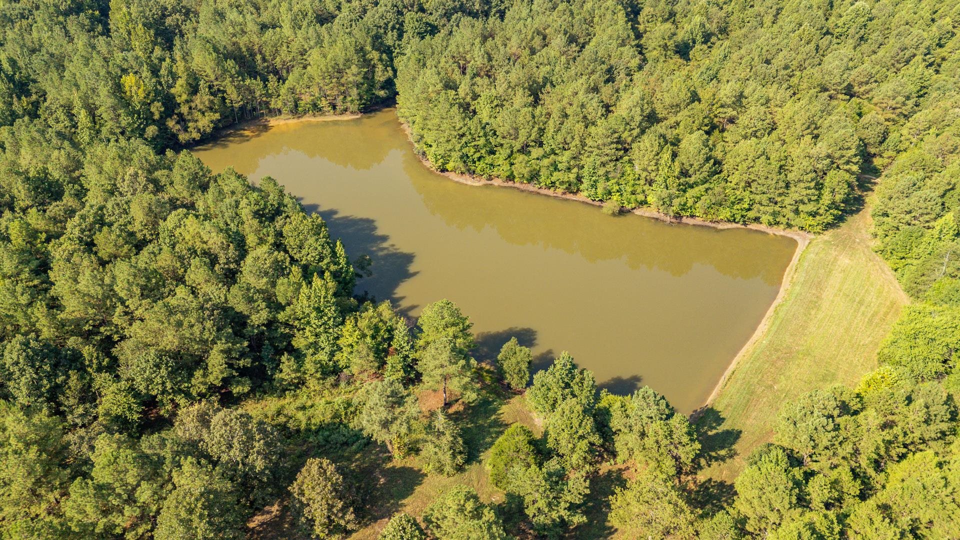 2395 Pocahontas Road Pocahontas, TN 38061 - Photo 25 of 38 a view of a lake
