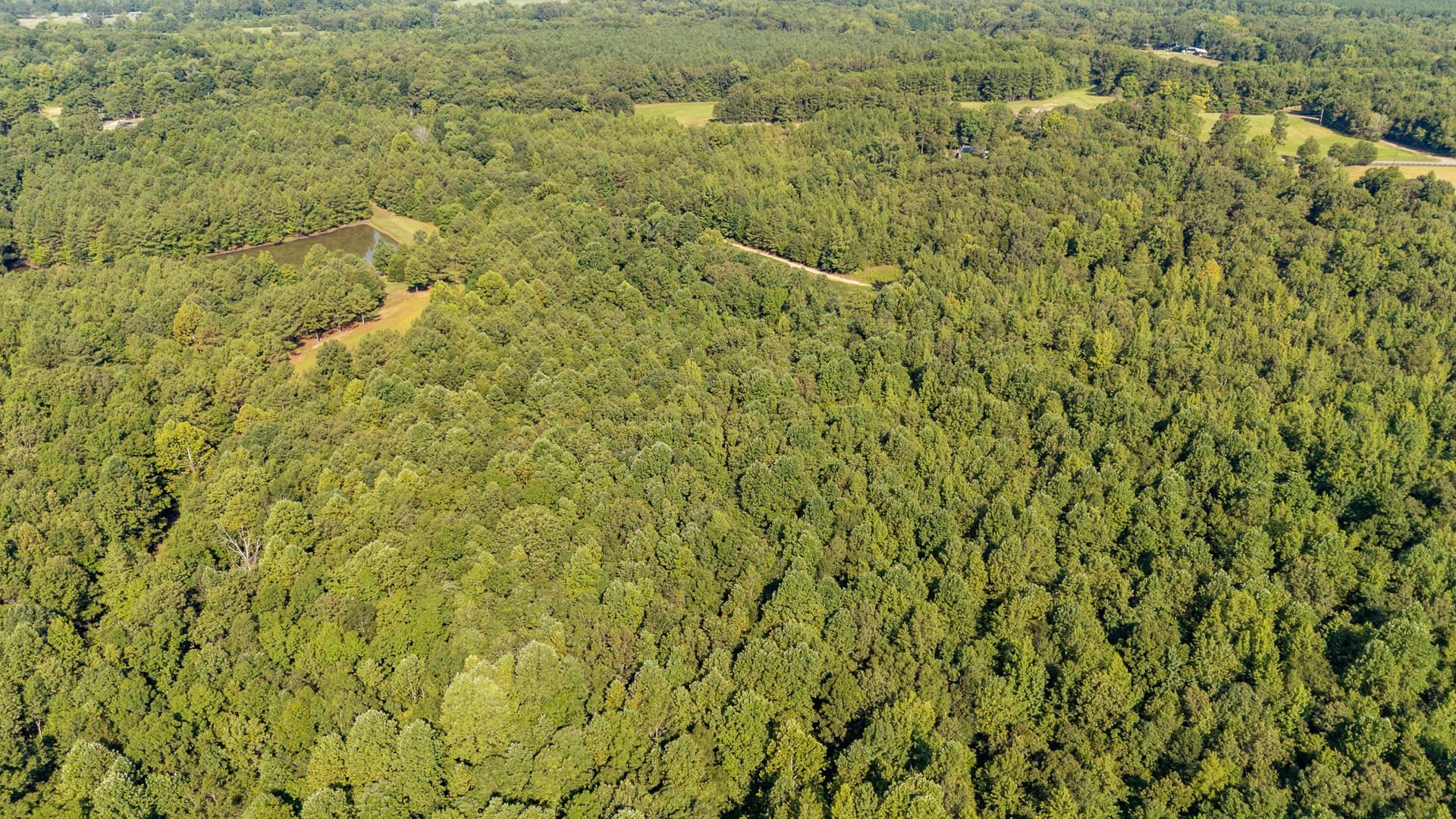 2395 Pocahontas Road Pocahontas, TN 38061 - Photo 27 of 38 a view of a bunch of trees and bushes