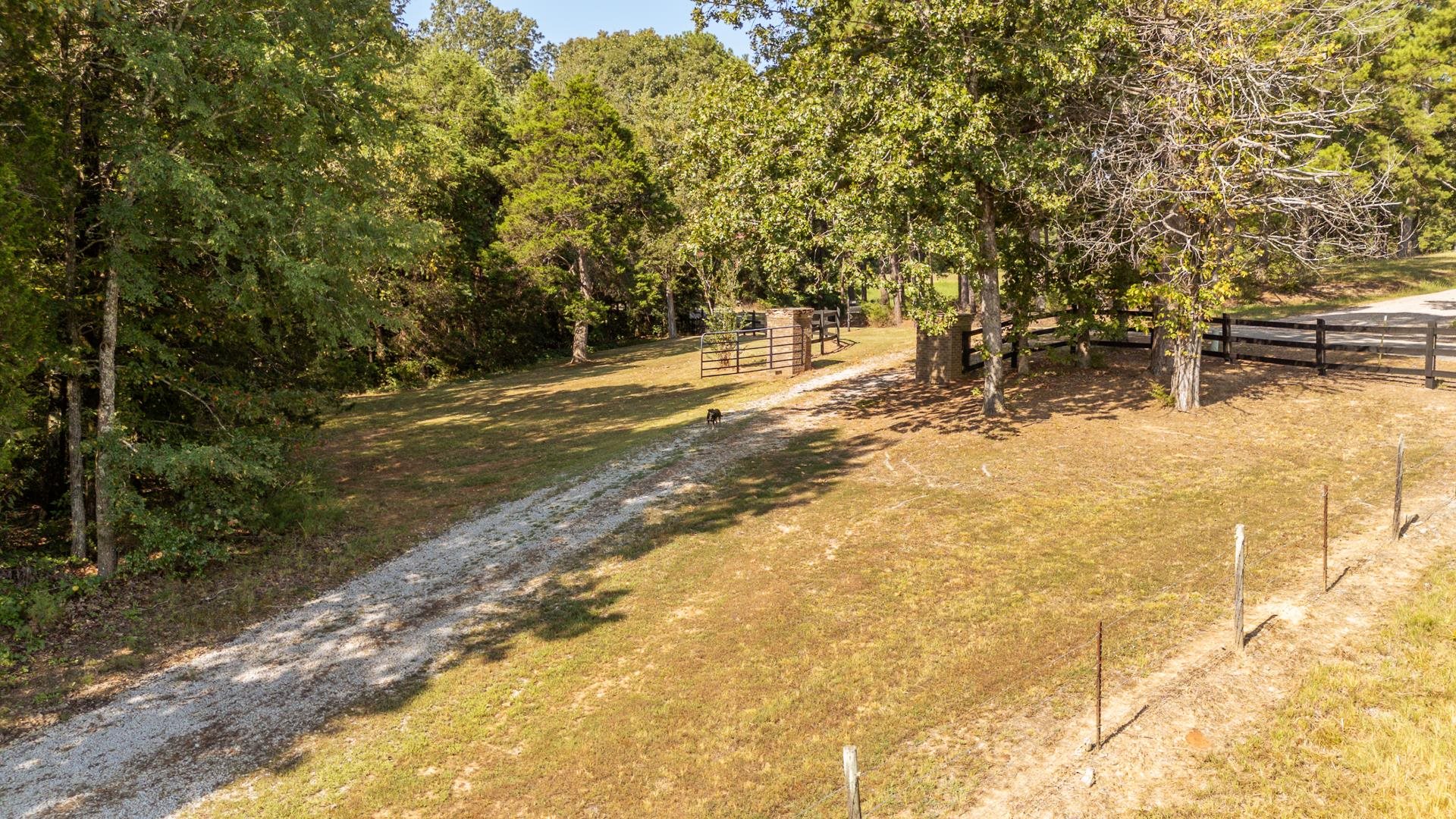 2395 Pocahontas Road Pocahontas, TN 38061 - Photo 28 of 38 a view of a yard with trees