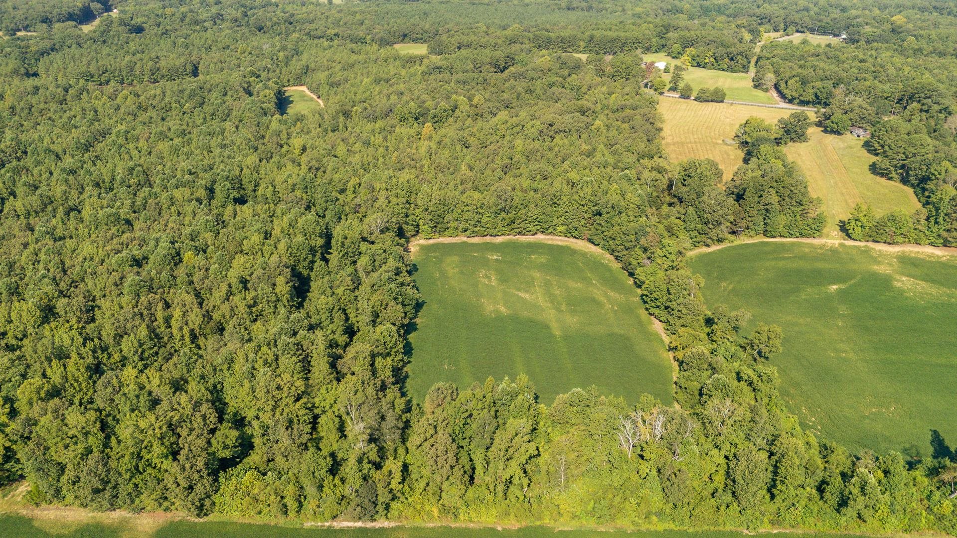 2395 Pocahontas Road Pocahontas, TN 38061 - Photo 30 of 38 a view of a lake view