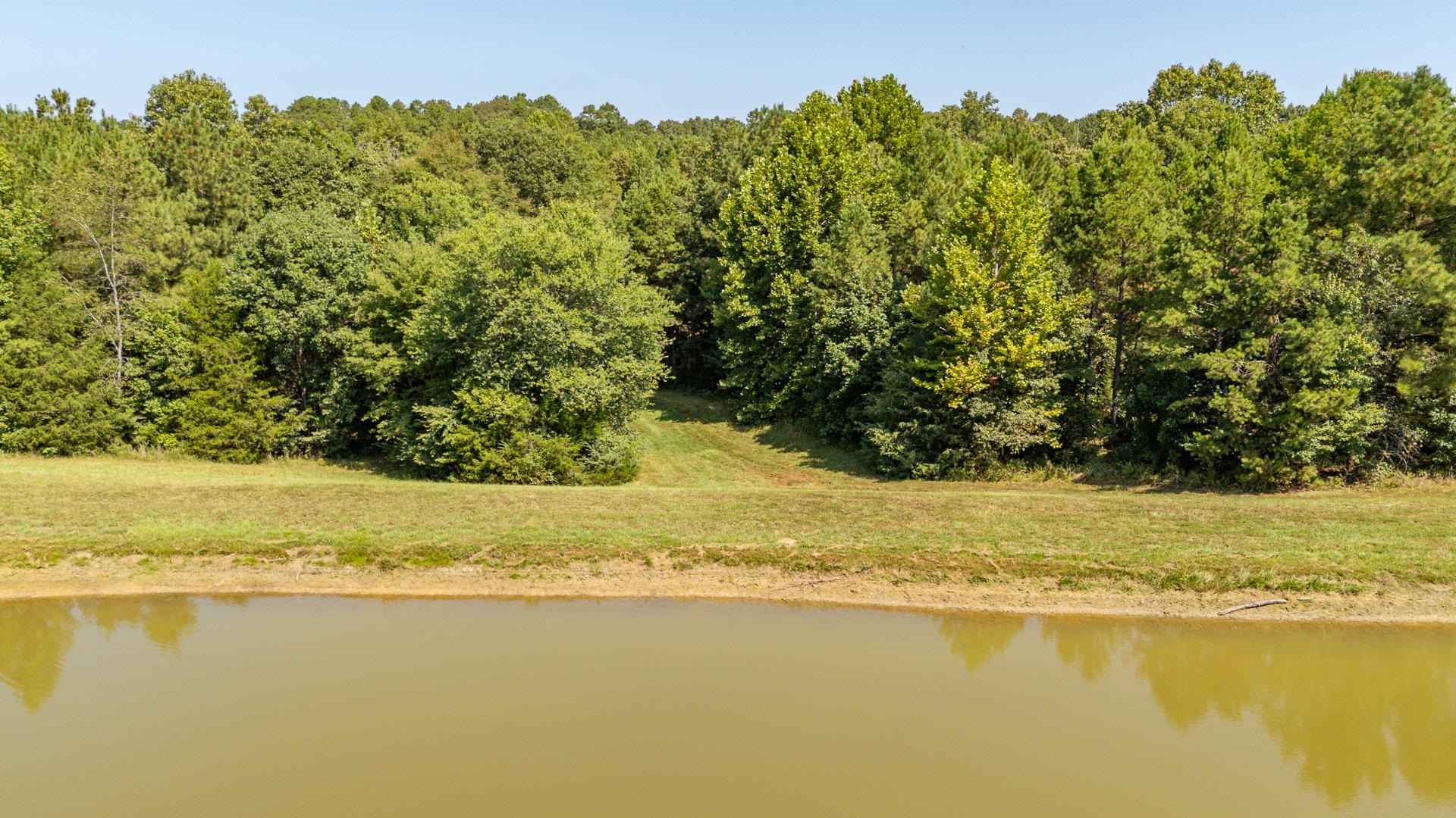 2395 Pocahontas Road Pocahontas, TN 38061 - Photo 31 of 38 a view of an ocean from a yard