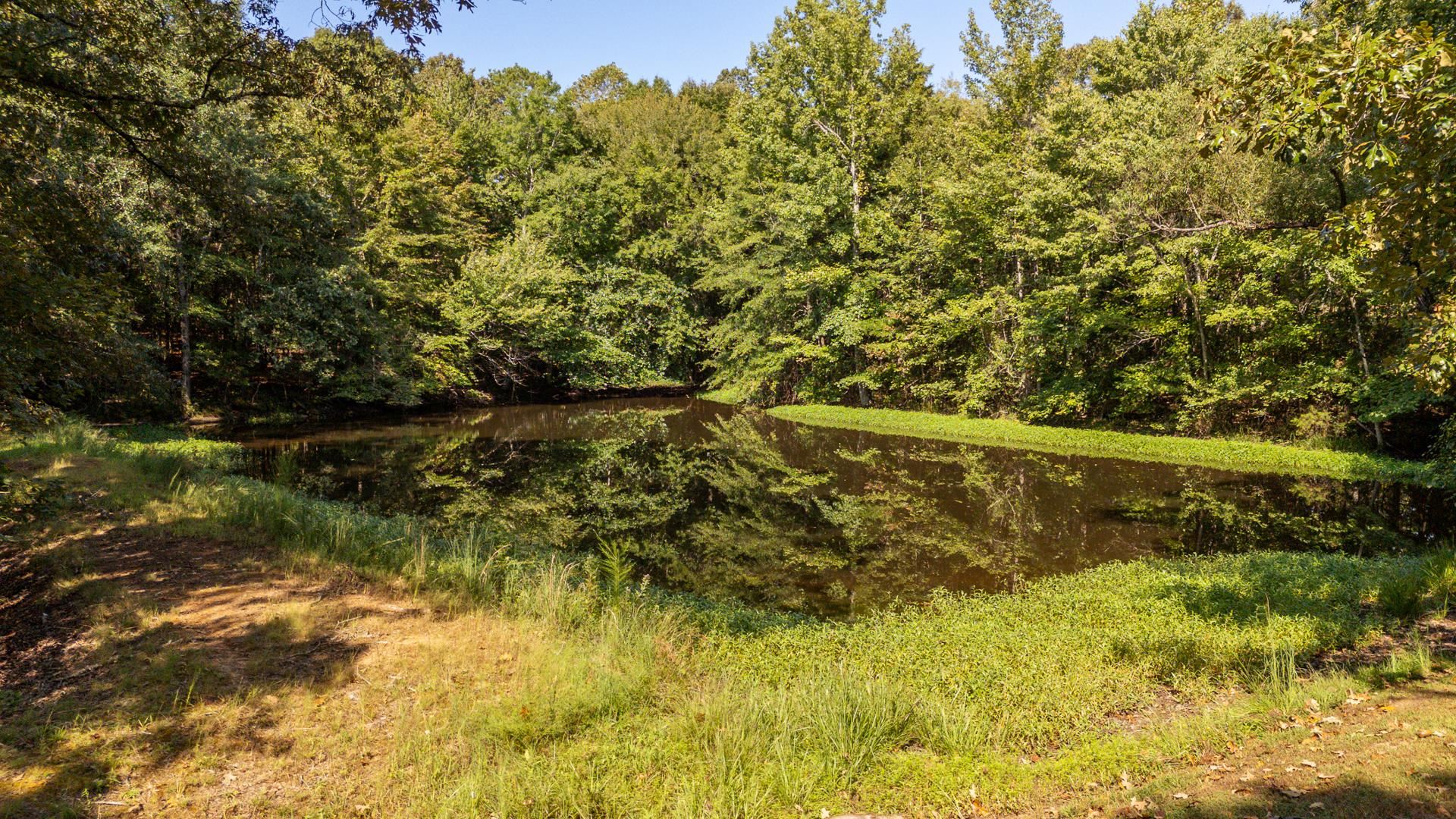 2395 Pocahontas Road Pocahontas, TN 38061 - Photo 35 of 38 a view of lake with green space