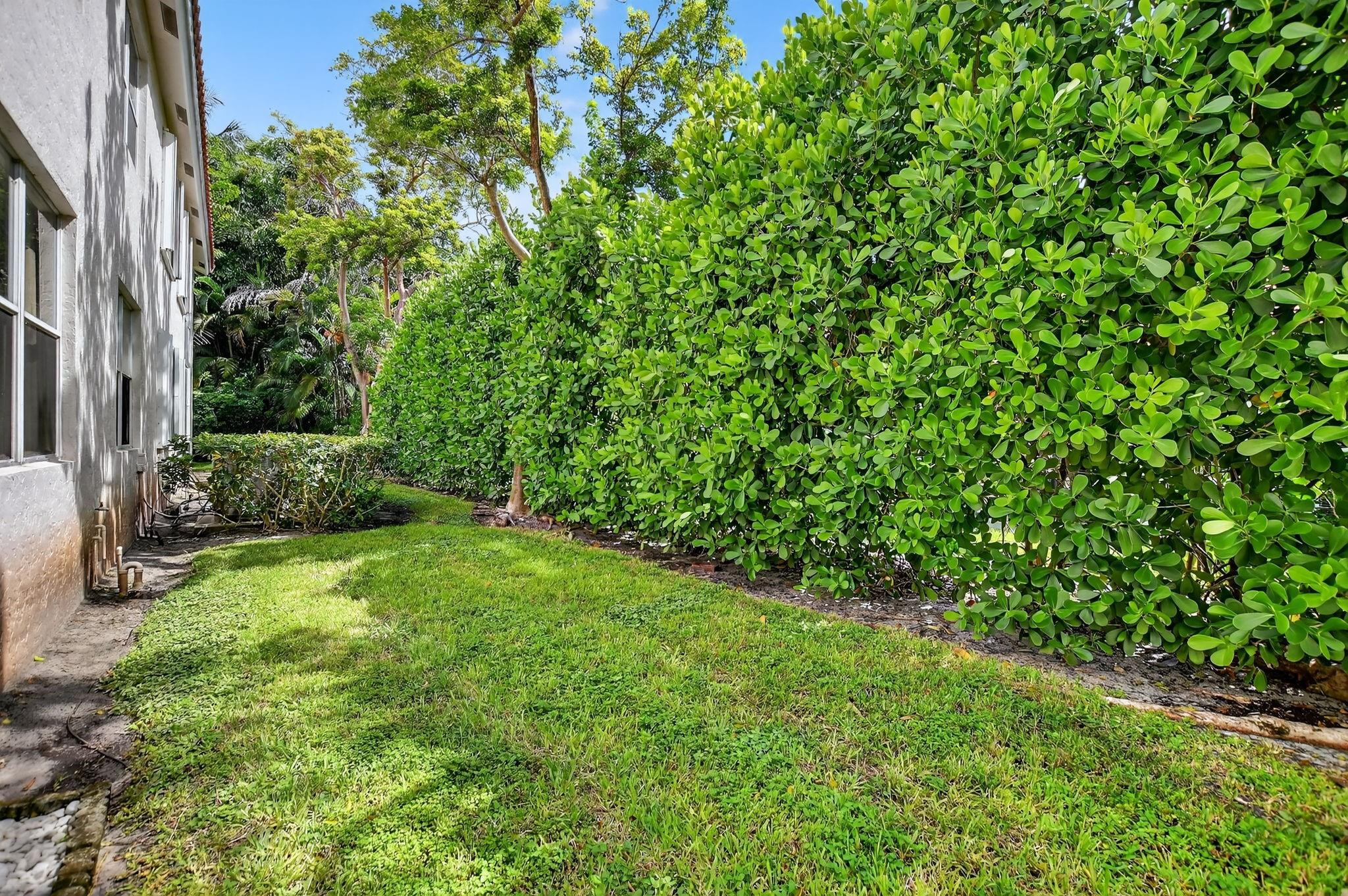 12614 Tiboli Chase Court, Unit 1 Boca Raton, FL 33496 - Photo 34 of 62 a view of a yard with plants and a plant