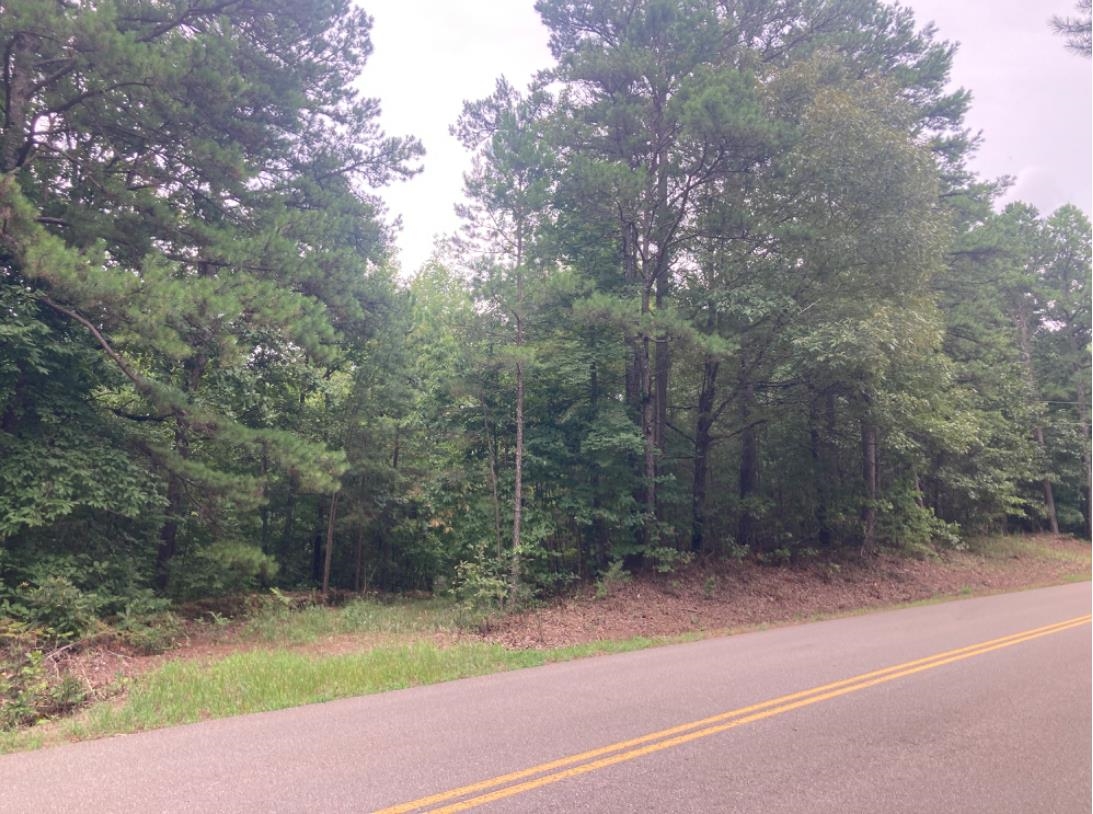 4175 Friendship Road Ramer, TN 38367 - Photo 1 of 5 View of street