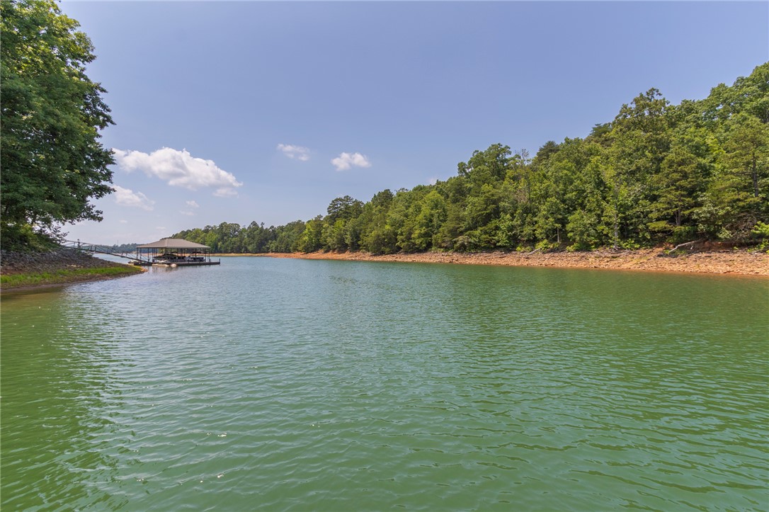 202 Plantation Point Anderson, SC 29625 - Photo 47 of 48 Experience lakeside living with a private boat dock and lush green shores.