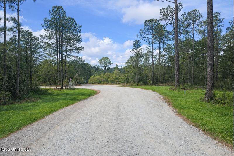 0 Road 311 Kiln, MS 39556 - Photo 6 of 8 ChatGPT Image Jan 8, 2026, 03_19_01 PM