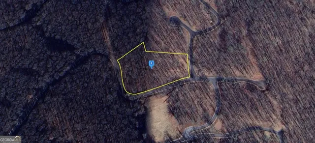 a bird view of a house