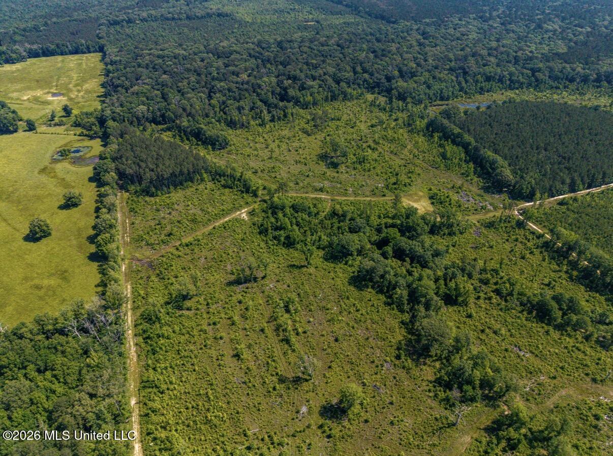 0 East Doc Clark Road Morton, MS 39117 - Photo 12 of 18 IMG_2968