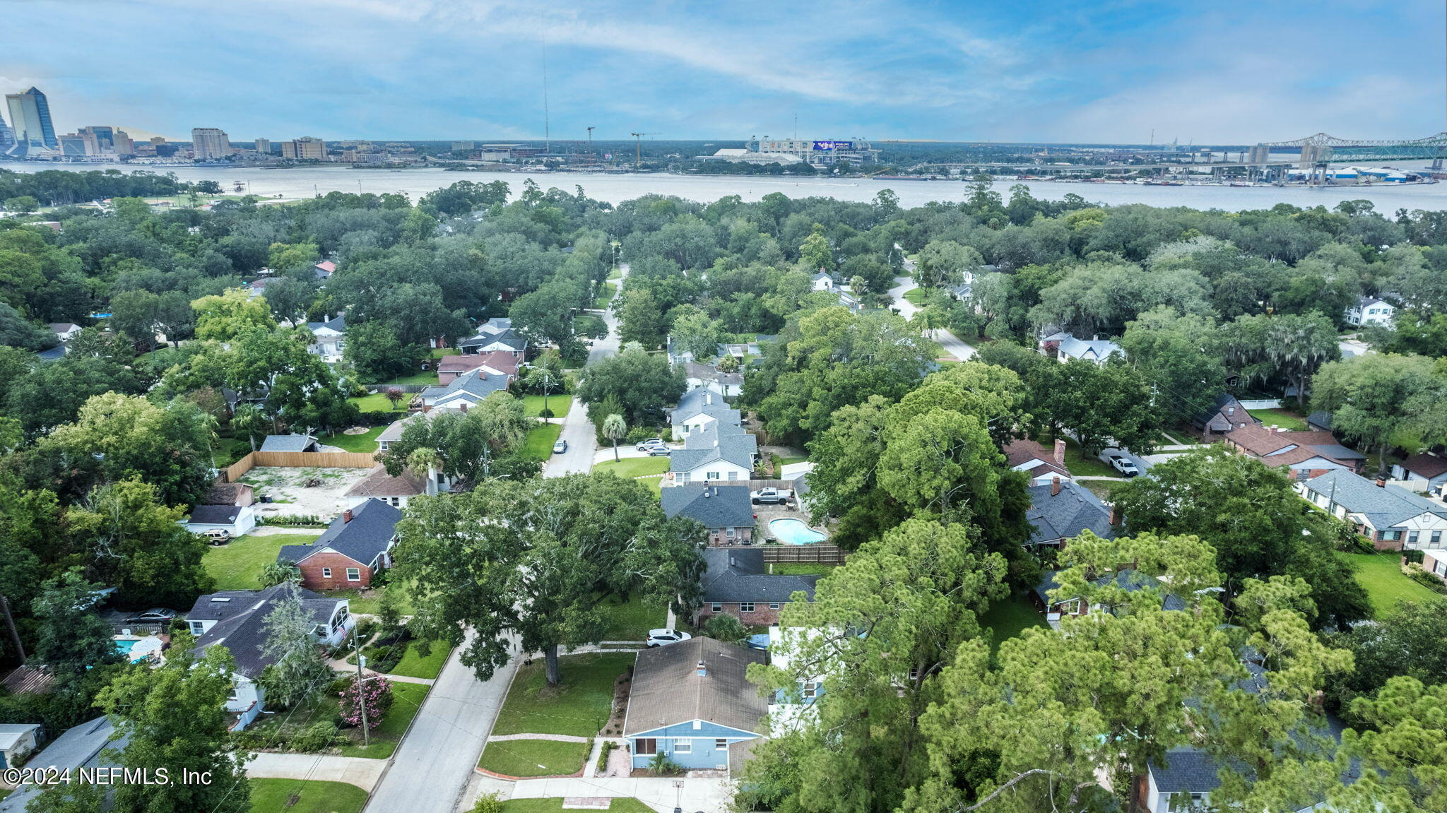 1445 Monticello Road Jacksonville, FL 32207 - Photo 54 of 74 Drone
