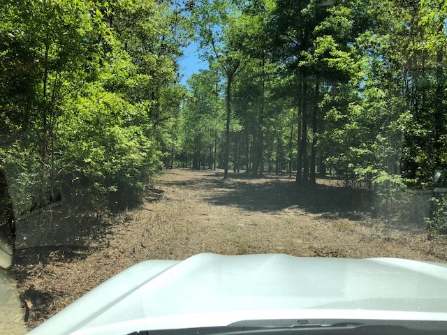 14000 County Road 54 Silverhill, AL 36576 - Photo 6 of 14
