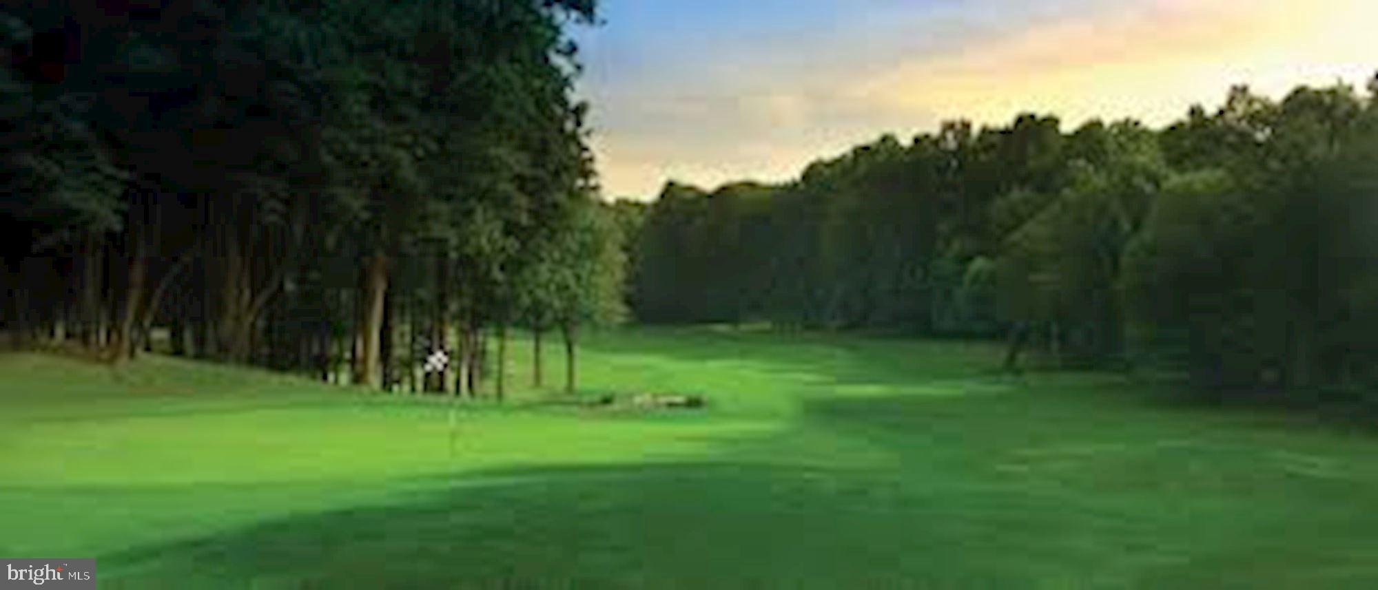 2005 Sarazen Place Reston, VA 20191 - Photo 35 of 35 Reston Nation Golf Course