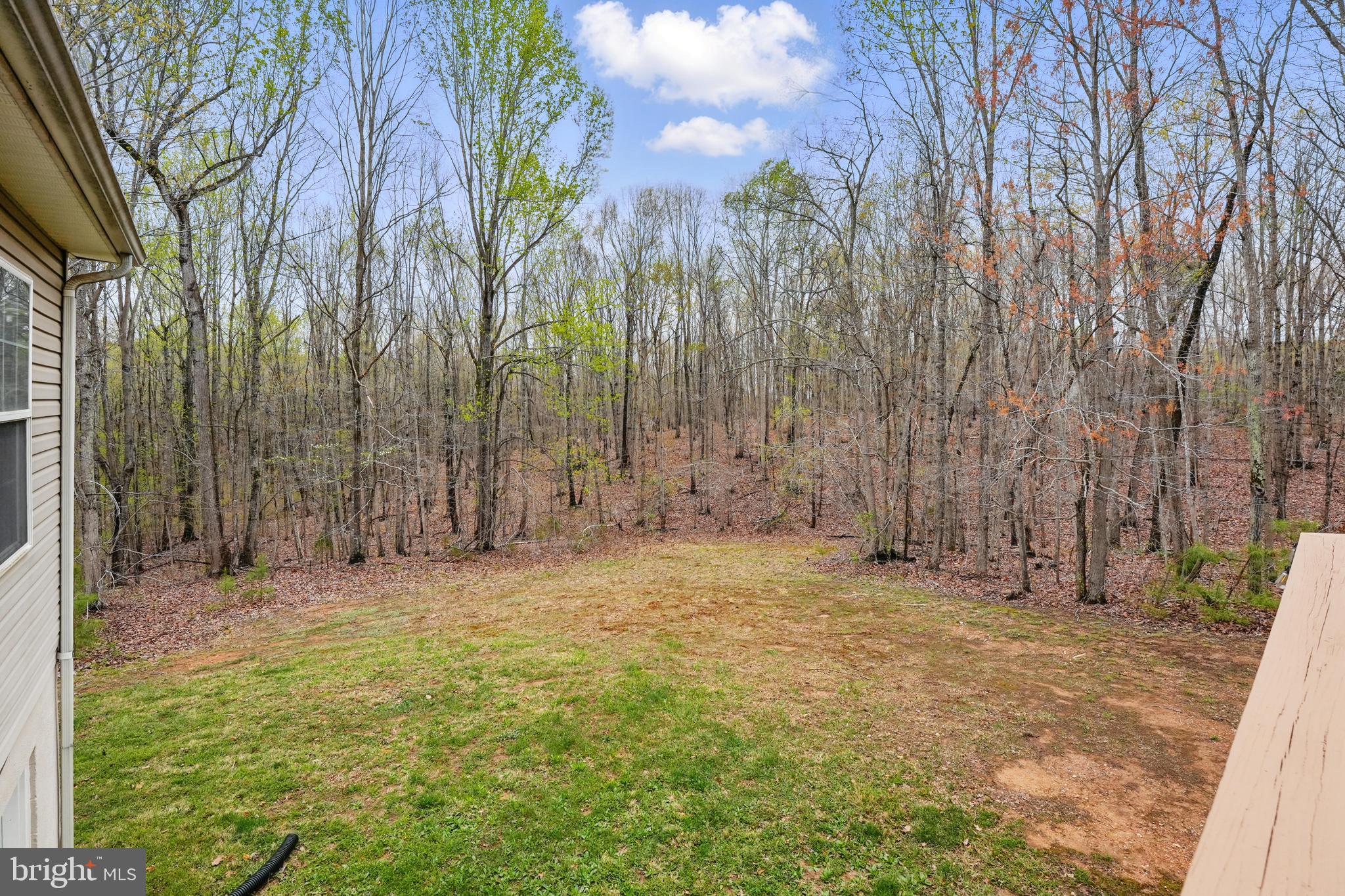 17307 Corder Road Elkwood, VA 22718 - Photo 19 of 20 a view of a yard with large trees