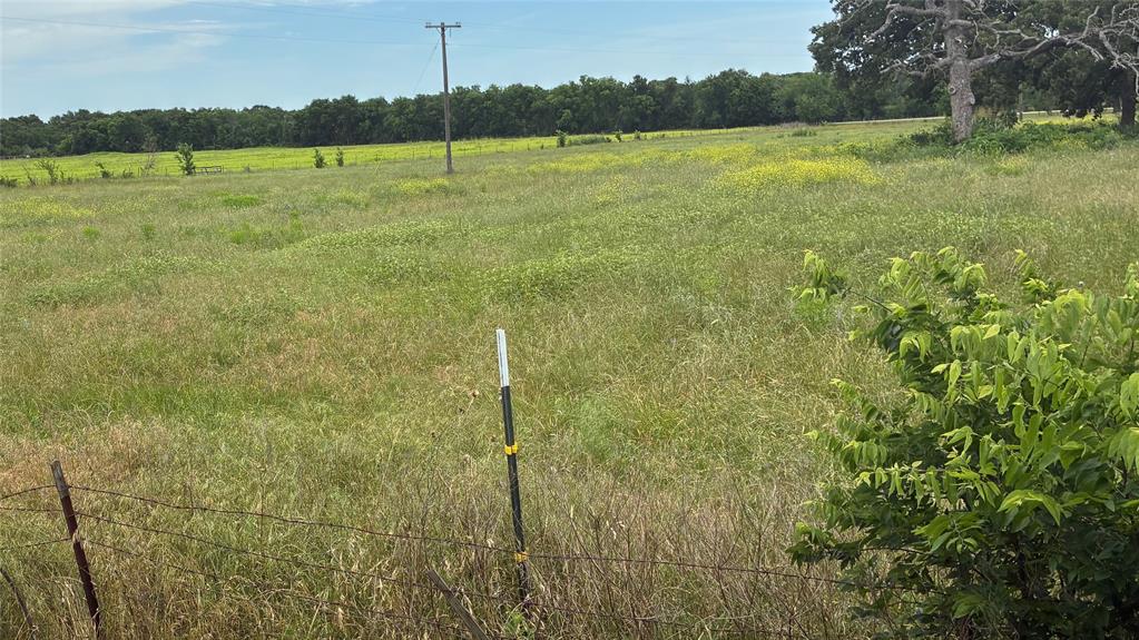101 County Road 120 C Riesel, TX 76682 - Photo 2 of 7 Expansive land parcel featuring natural grasses and scattered wildflowers can be seen from living room window
