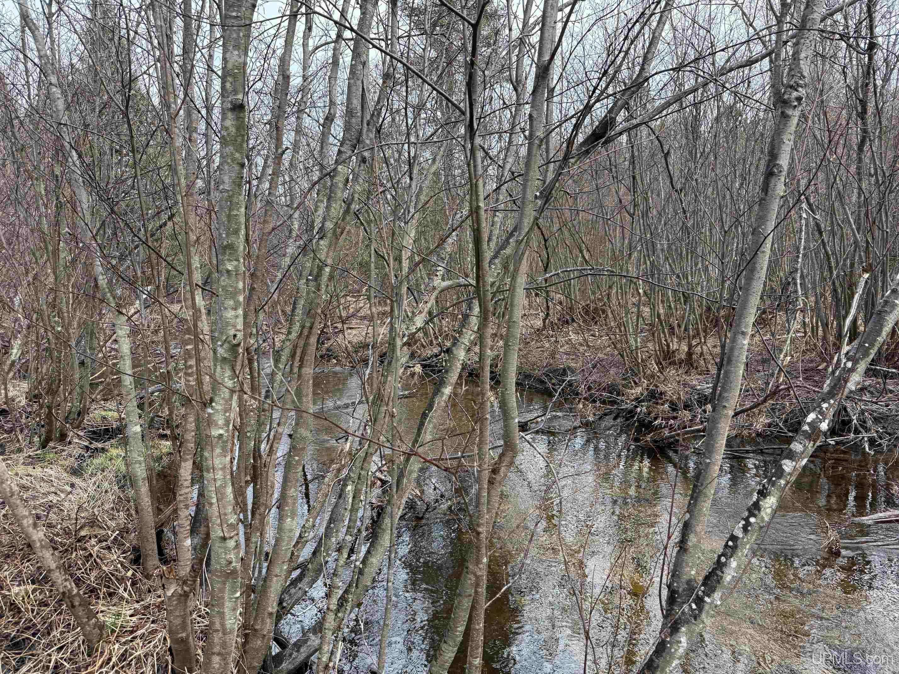 Tbd East Cold Springs Road Chatham, MI 49816 - Photo 5 of 8