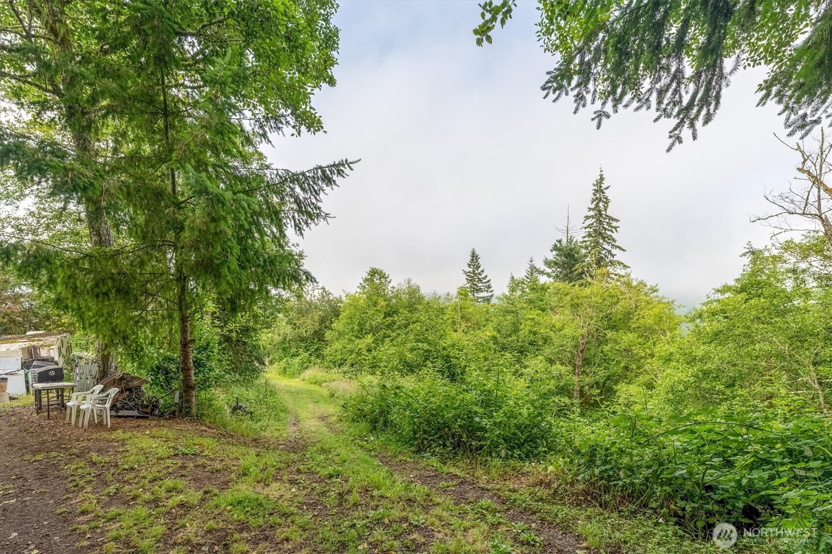 220 Wagner Road Kelso, WA 98626 - Photo 14 of 20 Gallery Image 14