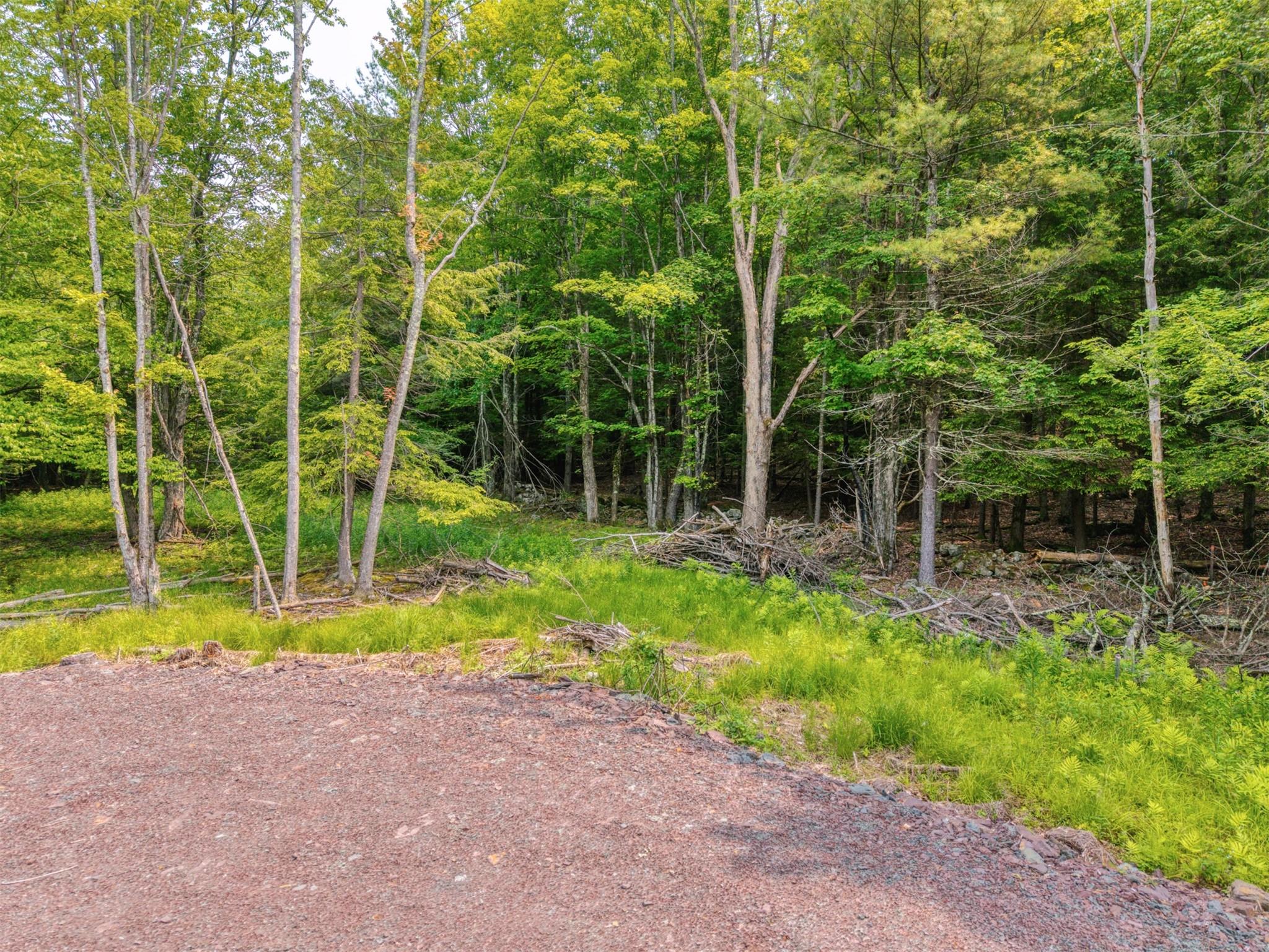 Tbd Boulder Brook Road Windham, NY 12496 - Photo 11 of 49 a view of a backyard with swimming pool