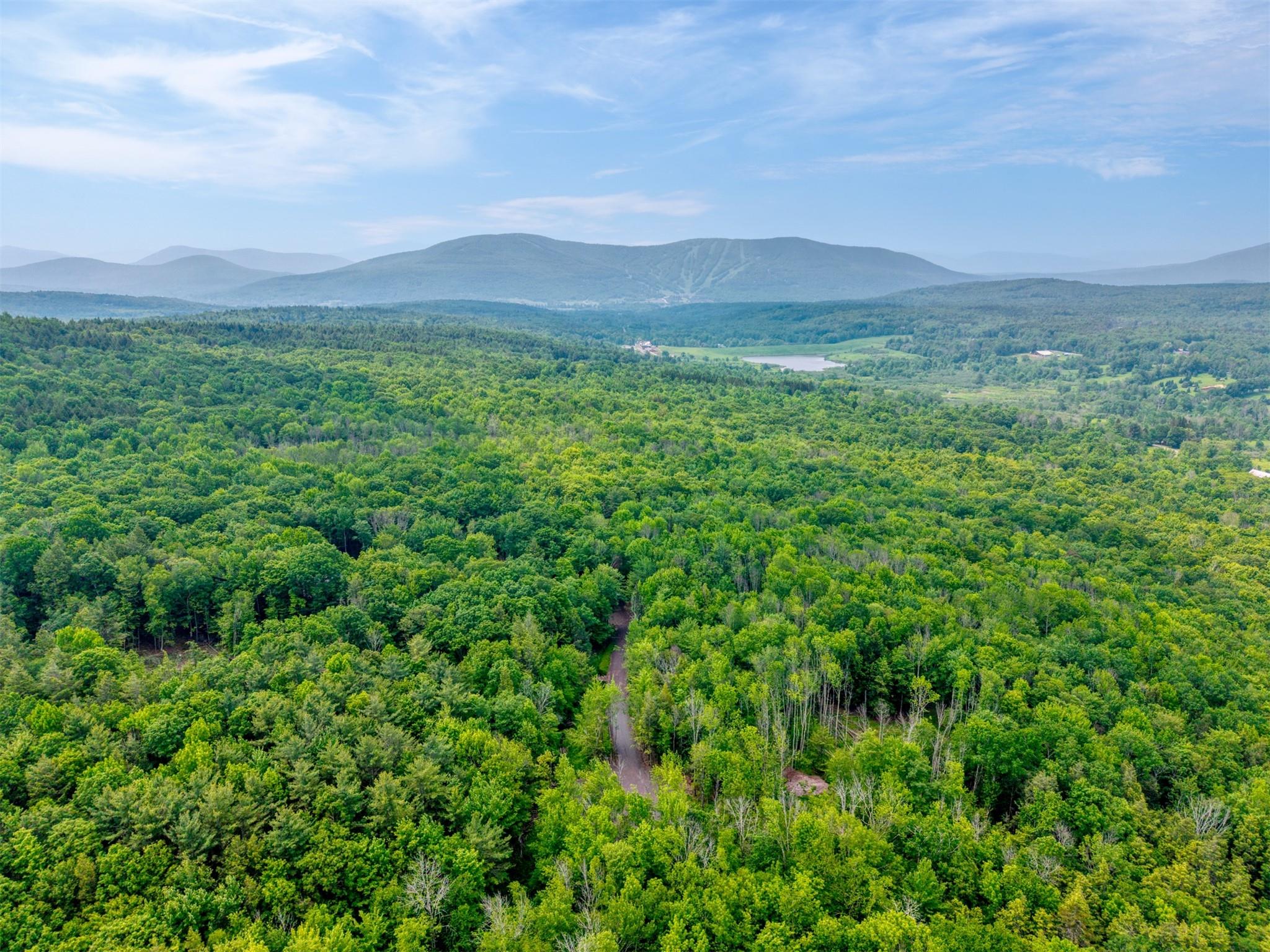 Tbd Boulder Brook Road Windham, NY 12496 - Photo 31 of 49 a view of a lush green hillside and a houses