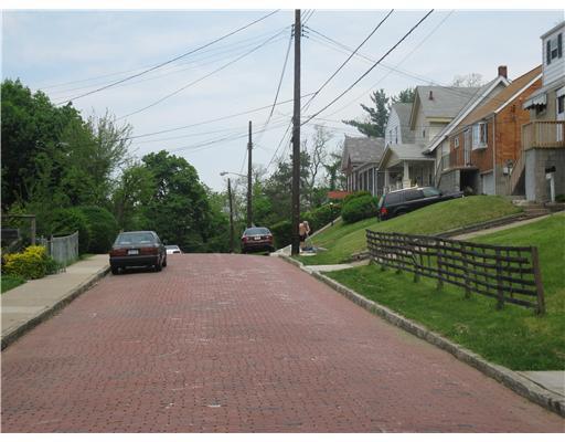 1323 Rutherford Avenue Beechview, PA 15216 - Photo 18 of 18 Exterior Front. Nice neighbor lined street.