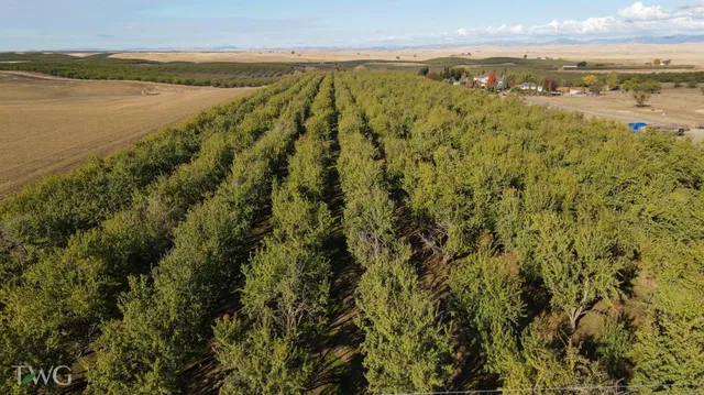 $965,250 | 0 Figmond Avenue, Snelling, CA 95369