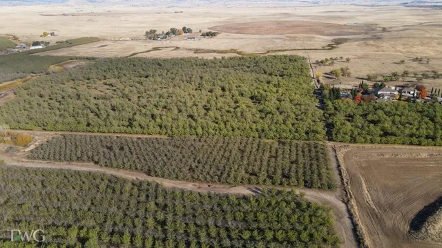 $965,250 | 0 Figmond Avenue, Snelling, CA 95369