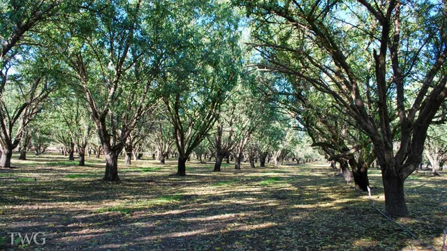 $965,250 | 0 Figmond Avenue, Snelling, CA 95369