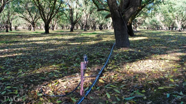 $965,250 | 0 Figmond Avenue, Snelling, CA 95369