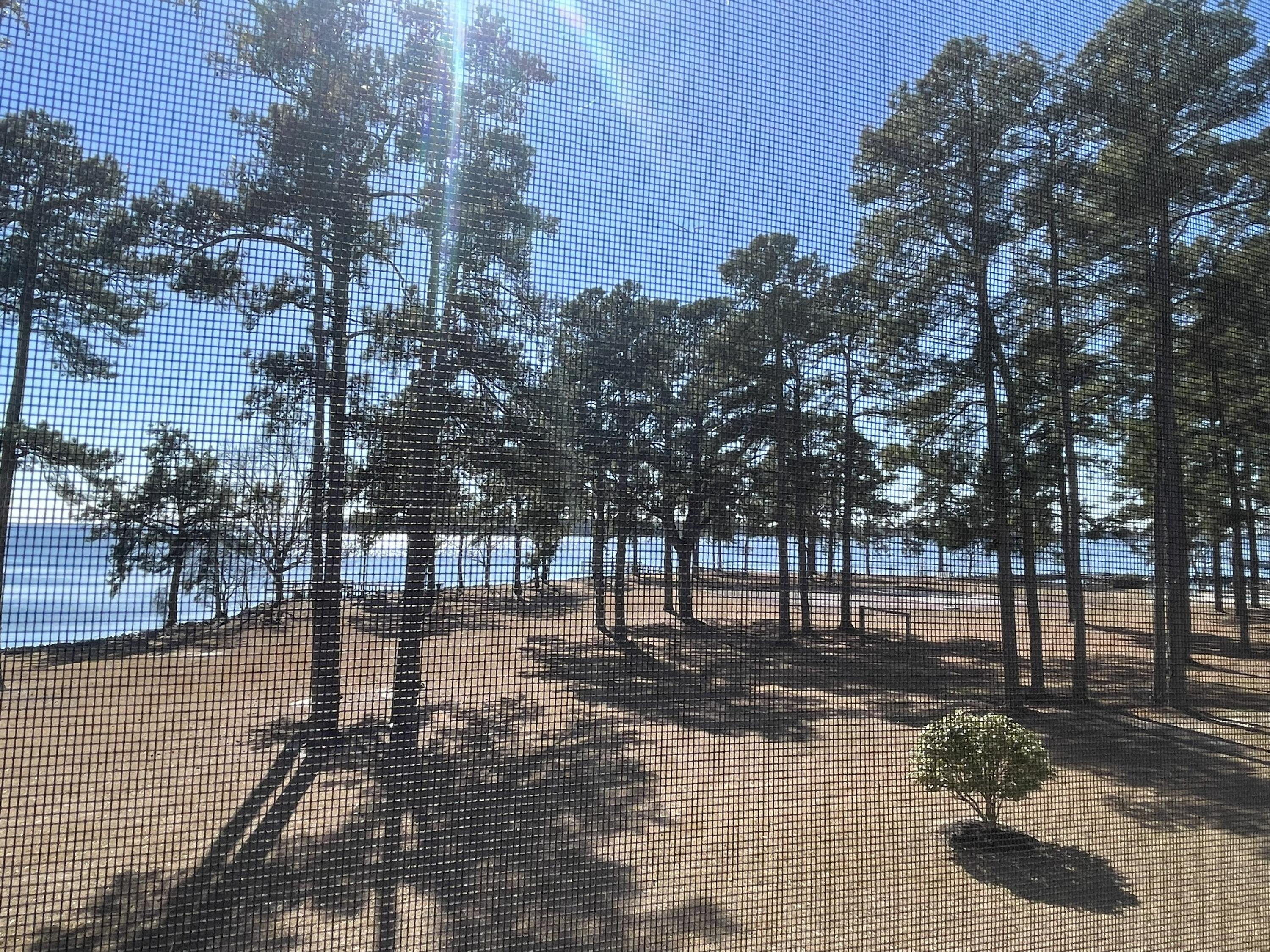 5206 Cypress Pointe, Unit D206 Manning, SC 29102 - Photo 4 of 40 View