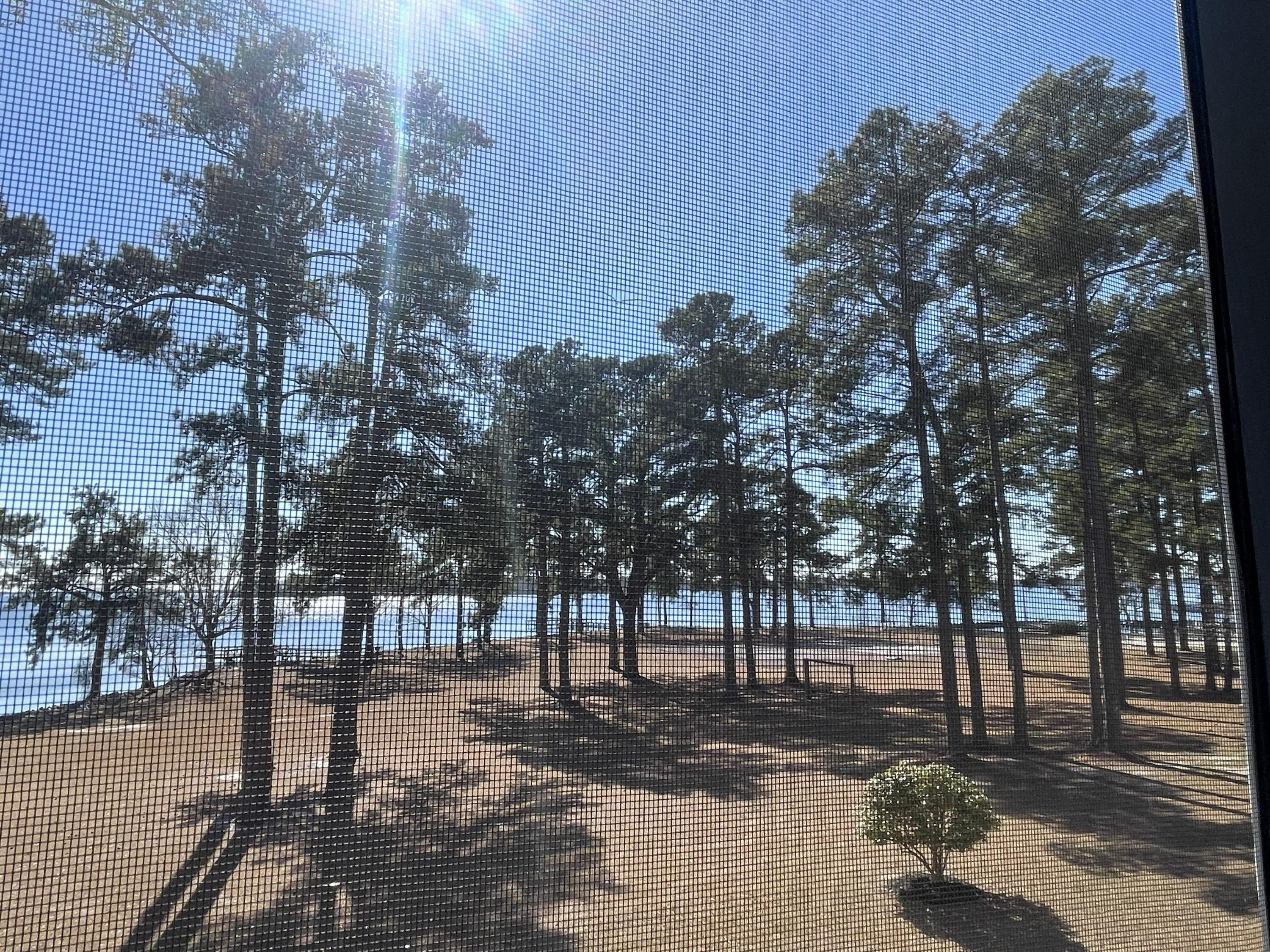 5206 Cypress Pointe, Unit D206 Manning, SC 29102 - Photo 5 of 40 View