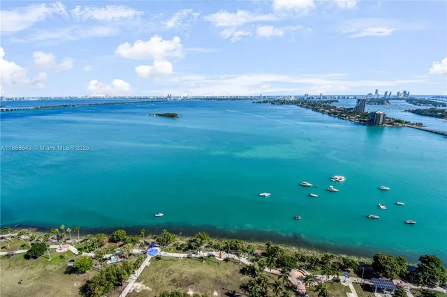 a view of a bunch of trees in all around