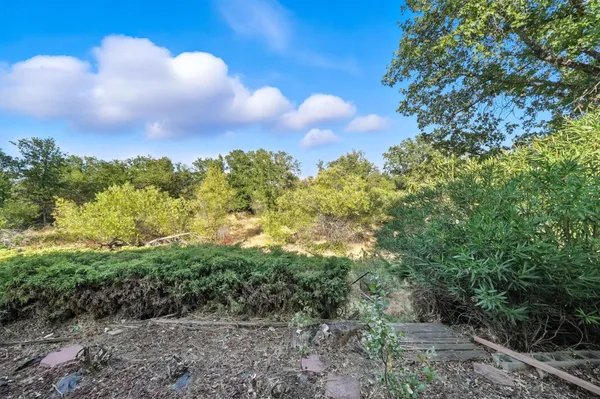 a view of a back yard with green space