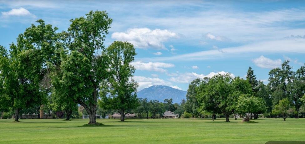 Undisclosed Address Redding, CA 96002 - Photo 33 of 34 a big yard with lots of green space and trees