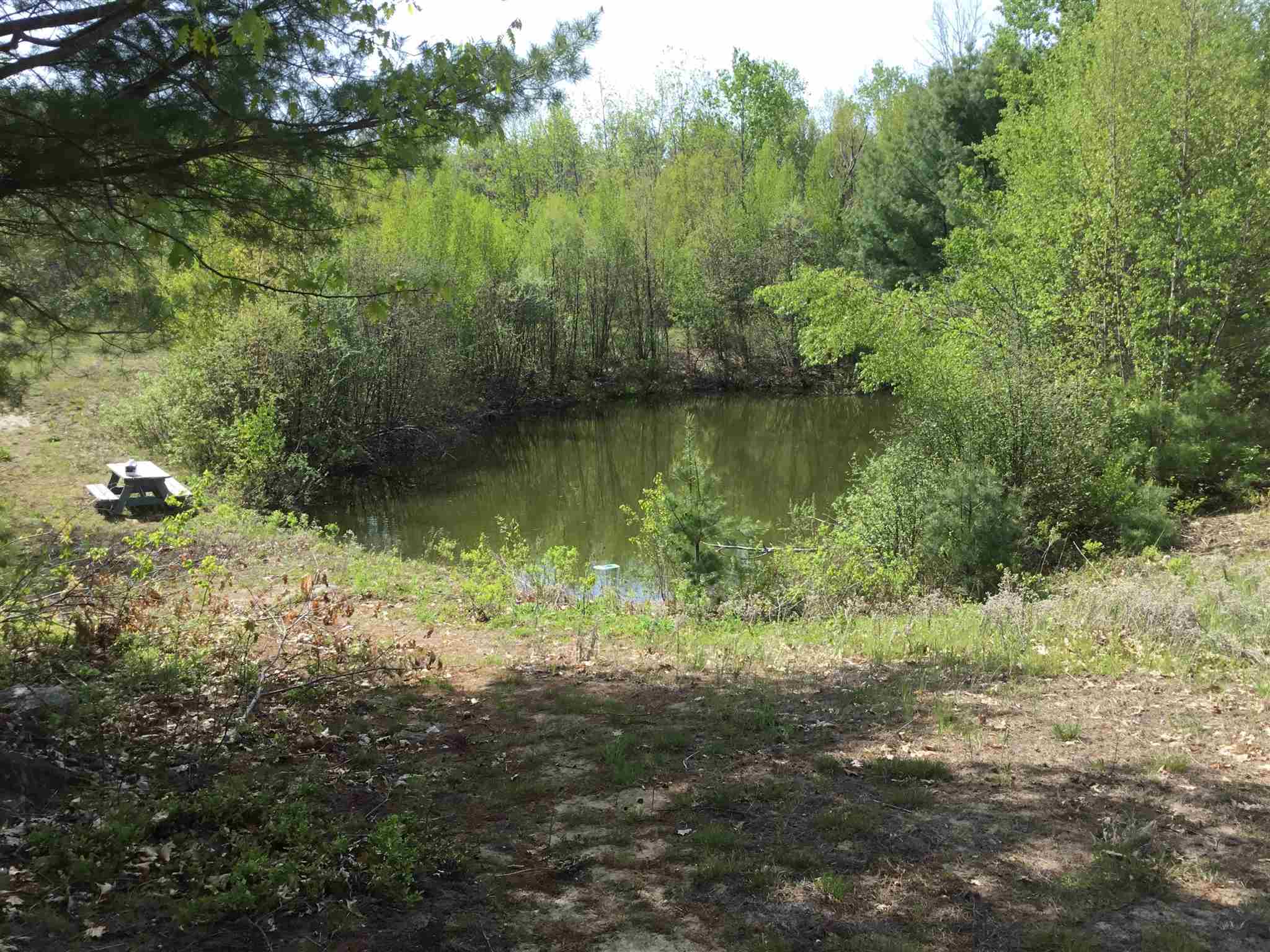 118 Durgin Road Bennington, NH 03442 - Photo 13 of 22 Gallery Image 13