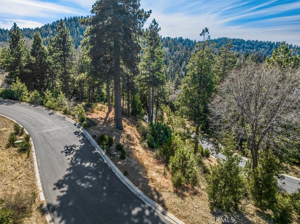 109 Mill Pond Road Lake Arrowhead, CA 92352 - Photo 23 of 43