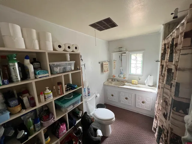 $495,000 | 127 Chicago Park Road, Pitkin, CO 81241