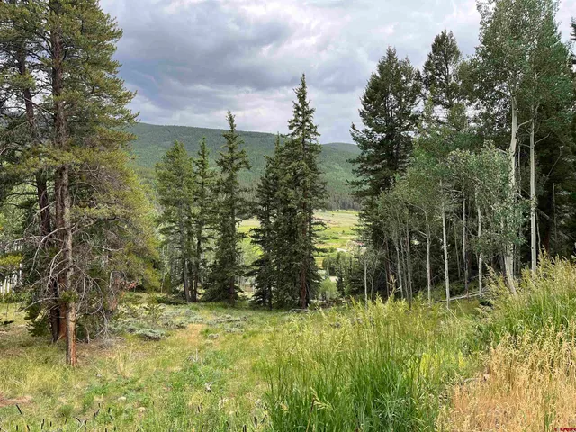 $495,000 | 127 Chicago Park Road, Pitkin, CO 81241