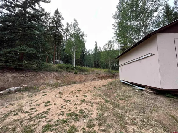 $495,000 | 127 Chicago Park Road, Pitkin, CO 81241