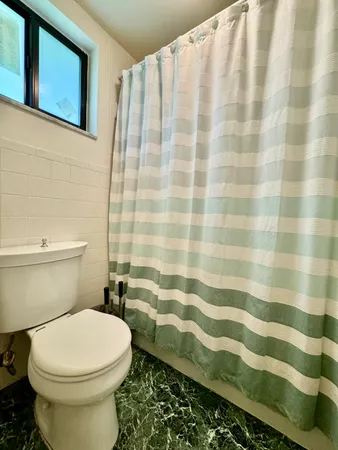 a white toilet sitting next to a shower curtain