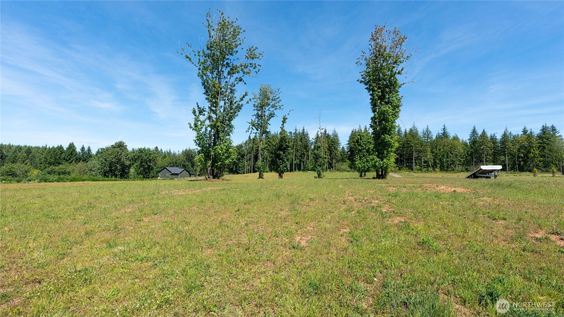 197 Nando Lane Winlock, WA 98596 - Photo 3 of 19
