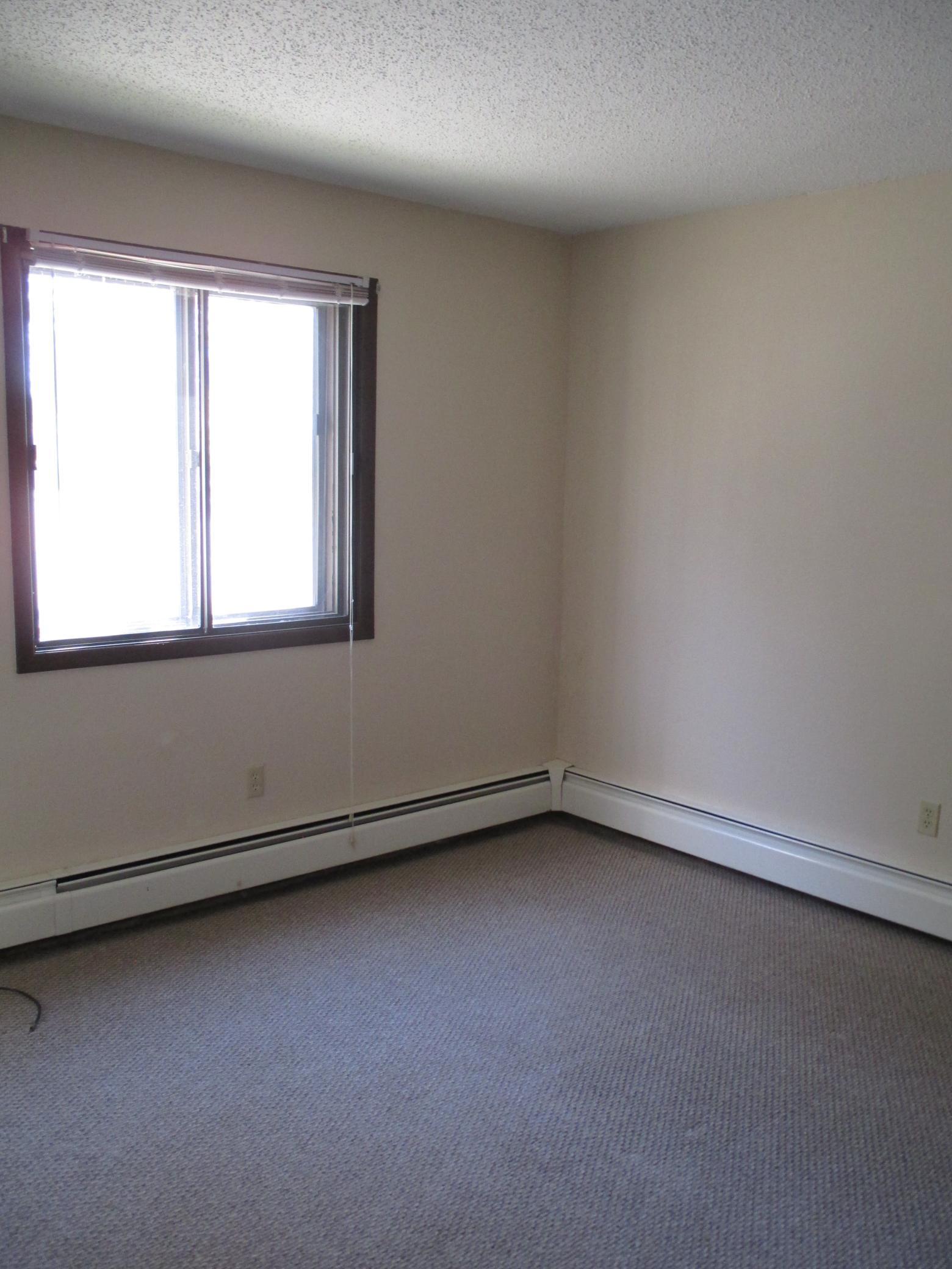 761 South 9th Street, Unit 5 Bird Island, MN 55310 - Photo 6 of 8