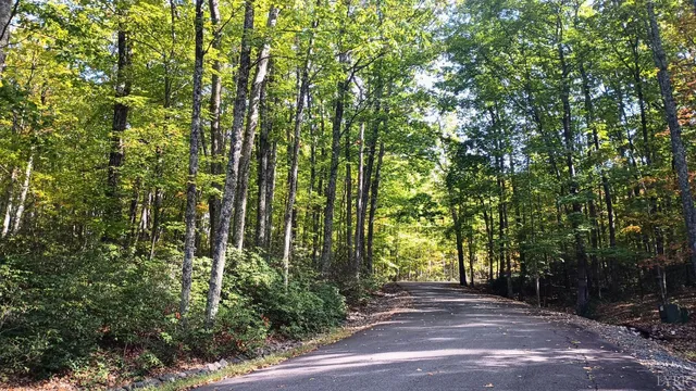 a view of backyard with green space