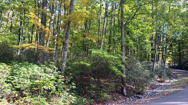 $195,000 | 0 Oakcrest Lane, Nellysford, VA 22958