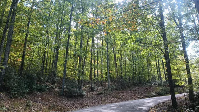 a view of outdoor space and green space