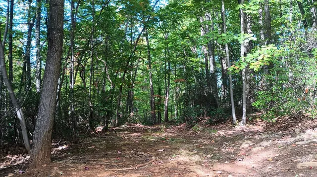 a view of outdoor space and trees