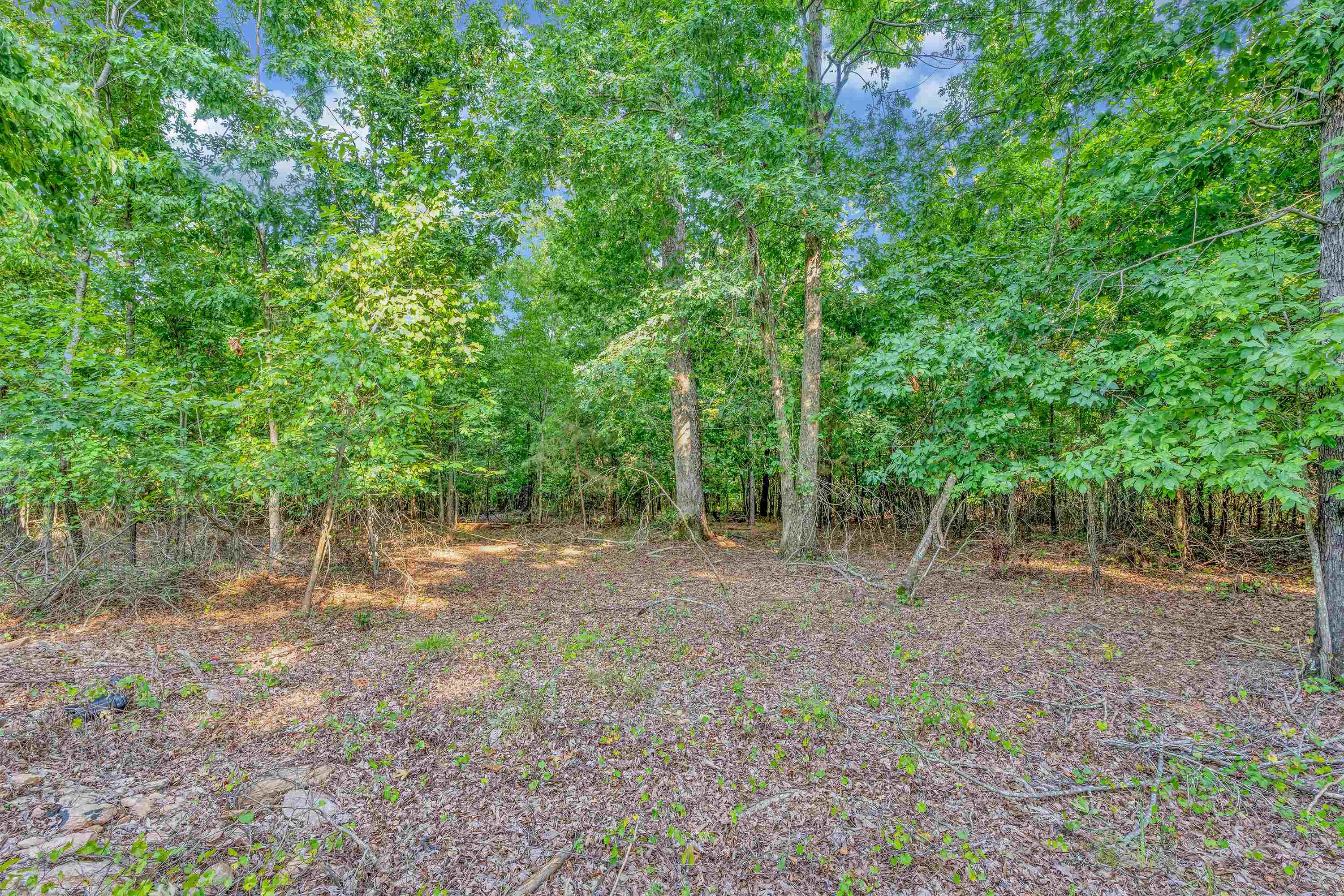 221 Dairy Ridge Road Spartanburg, SC 29302 - Photo 15 of 31 Gallery Image 15