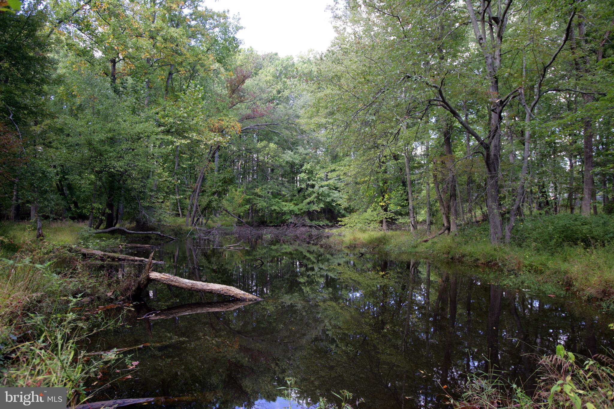 719 Main Street, Unit 719B Gaithersburg, MD 20878 - Photo 35 of 43 a view of outdoor space and yard