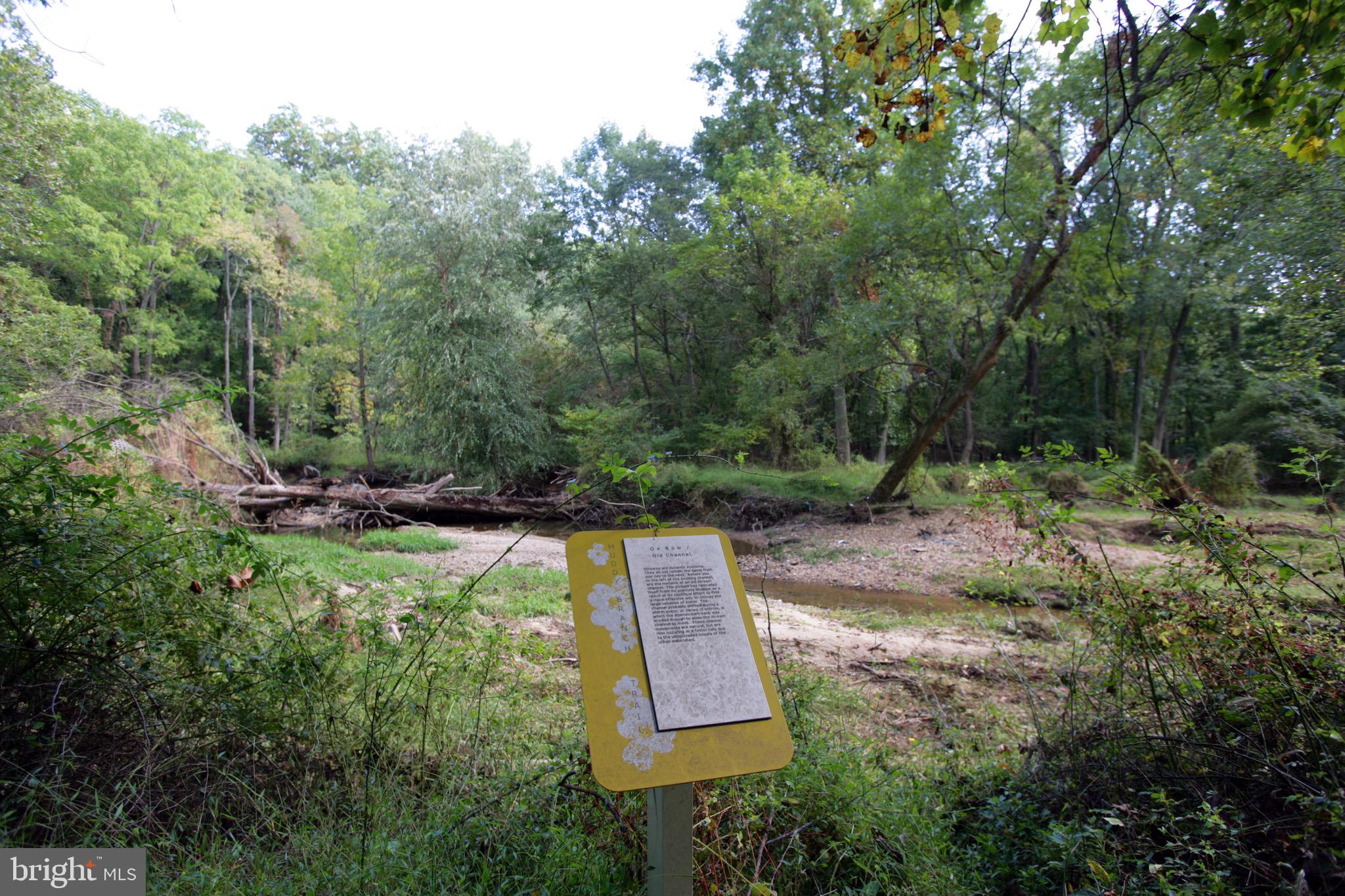 719 Main Street, Unit 719B Gaithersburg, MD 20878 - Photo 36 of 43 a view of a backyard with green space