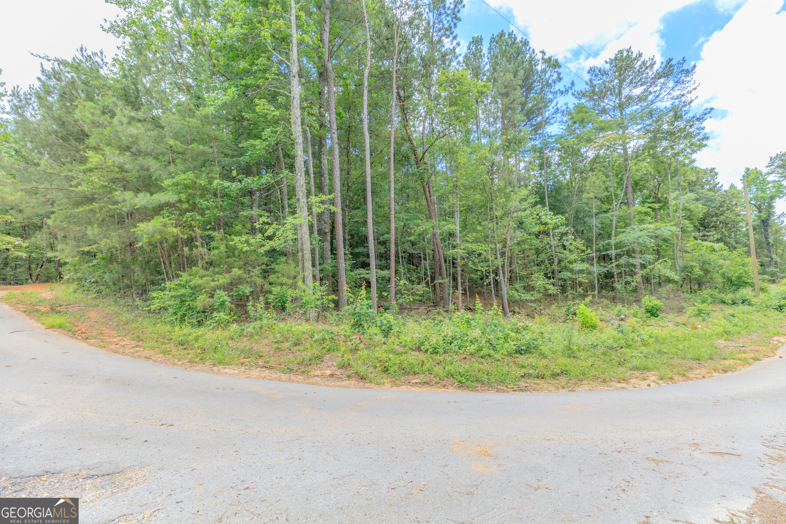 0 Wallaceville Cemetery Road Chickamauga, GA 30707 - Photo 2 of 4