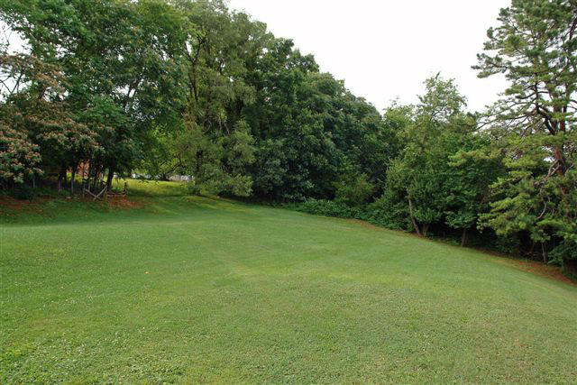 1608 Indian Rock Road Roanoke, VA 24014 - Photo 34 of 37 a view of a field of grass and trees