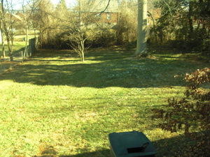 2314 Carlton Road Southwest Roanoke, VA 24015 - Photo 14 of 14 Yard