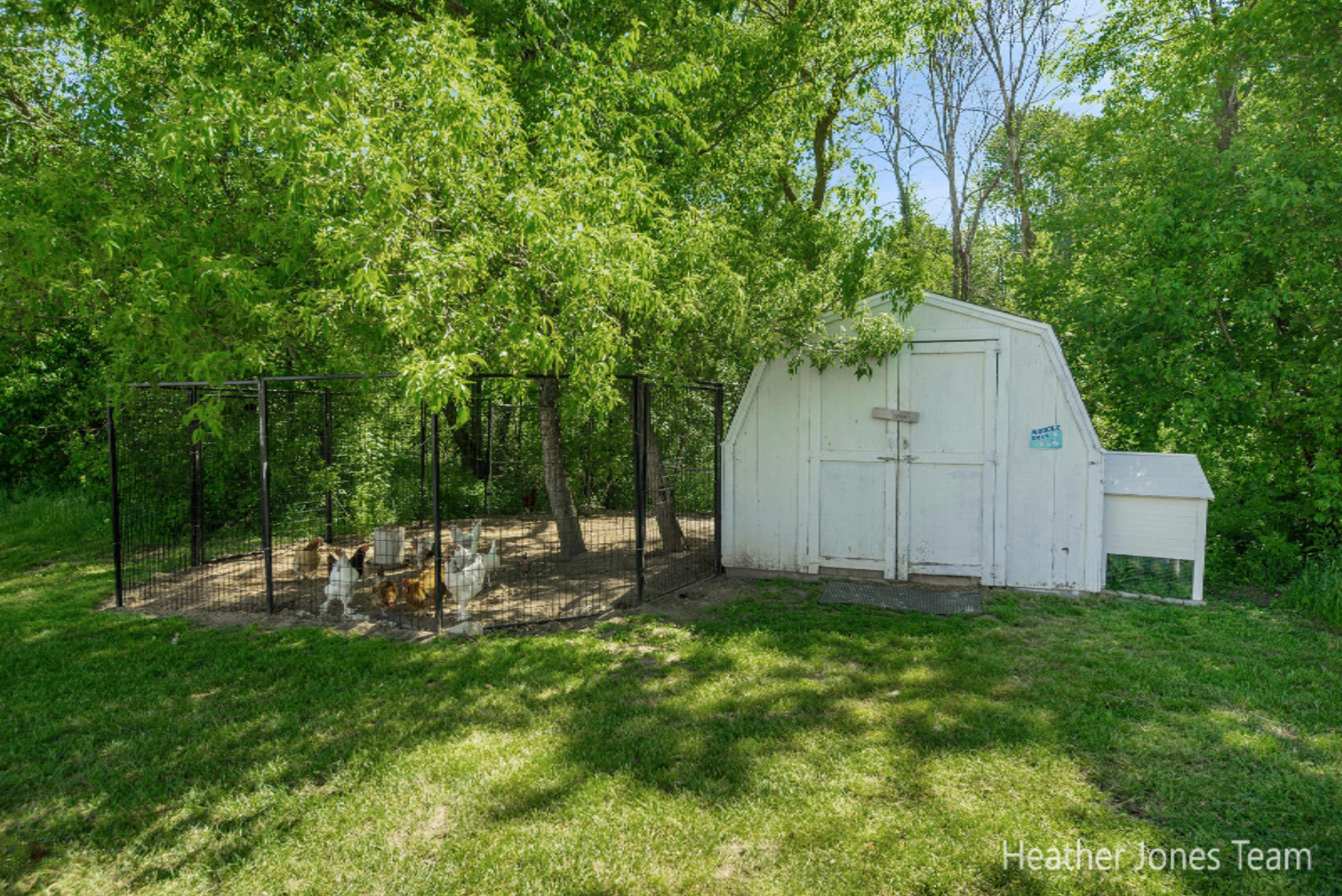 8872 Spencer Road Crystal, MI 48818 - Photo 40 of 75 8872ESpencerRd-63